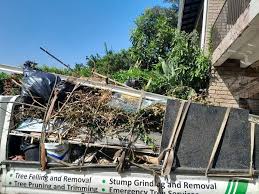 Best Shed Removal  in Mccom, OH